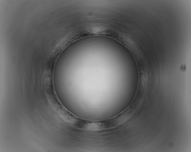 X0000111390461200907171250