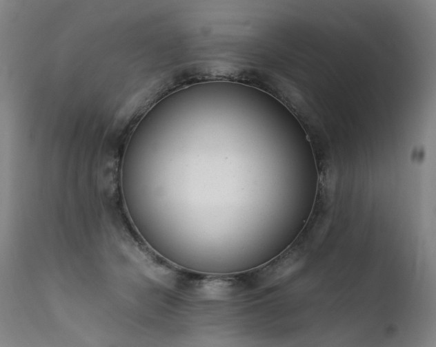 X0000111390462200907171250