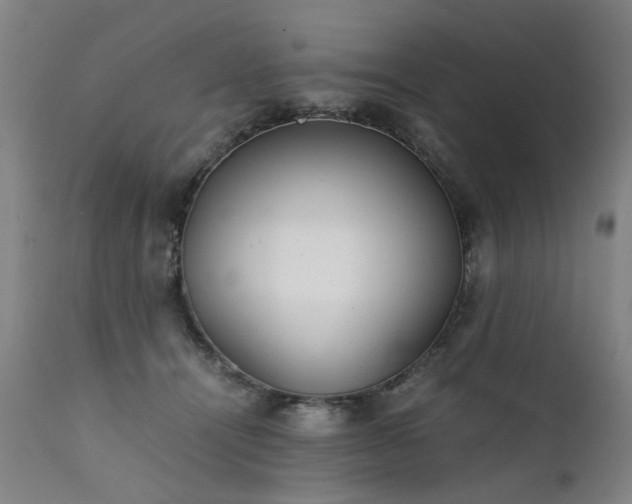 X0000111390464200907171250