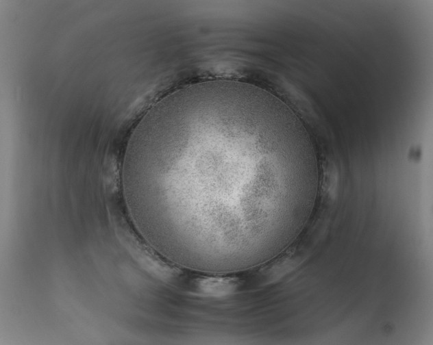 X0000111390465200907171250