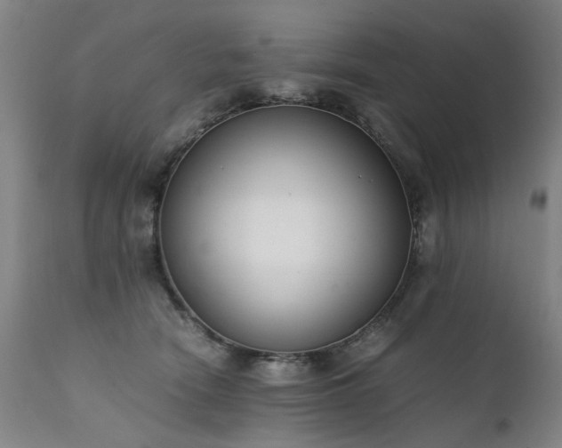 X0000111390466200907171250