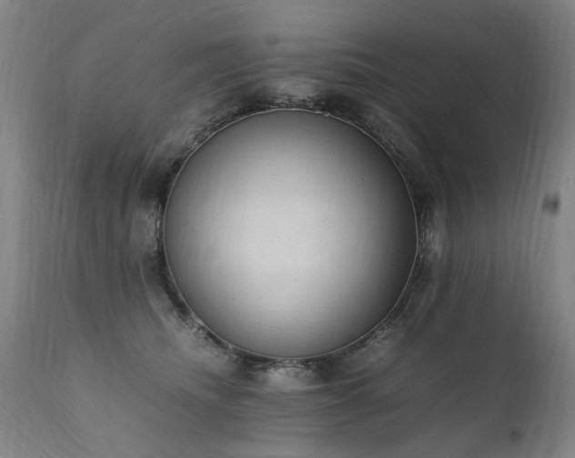 X0000111390468200907171250