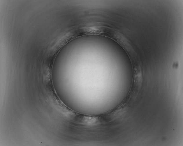 X0000111390469200907171250