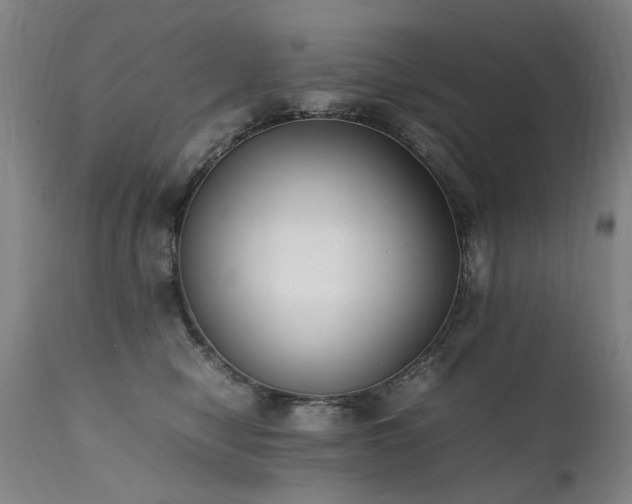 X0000111390470200907171250