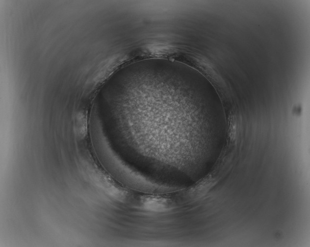 X0000111390471200907171250