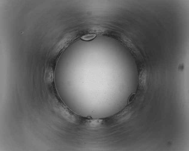 X0000111390474200907171250