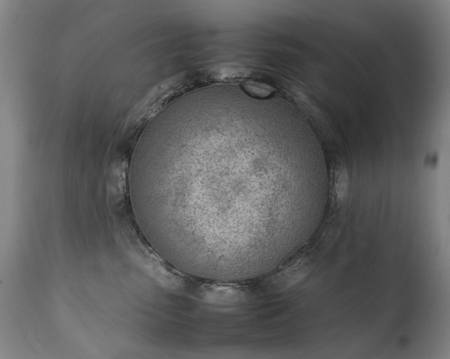 X0000111390475200907171250