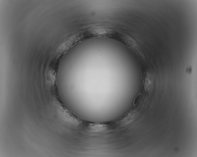 X0000111390476200907171250