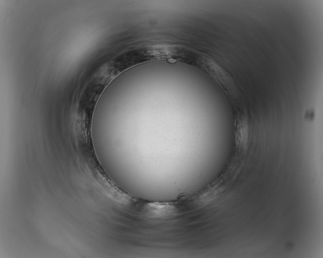 X0000111390477200907171250