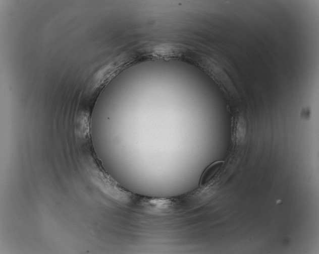 X0000111390478200907171250