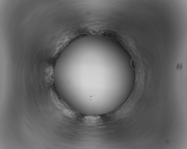 X0000111390480200907171250