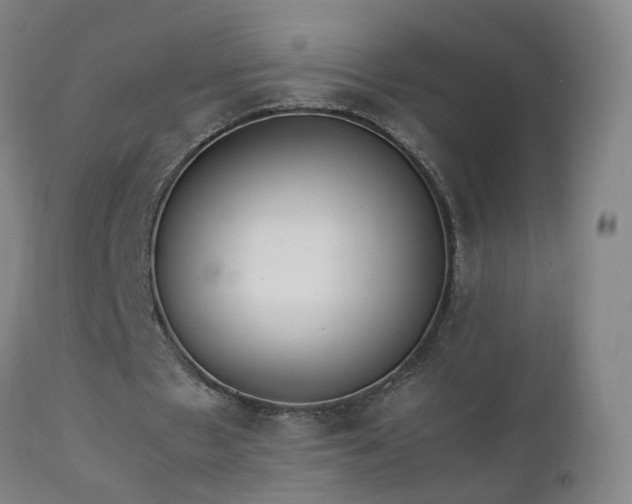 X0000111390481200907171250