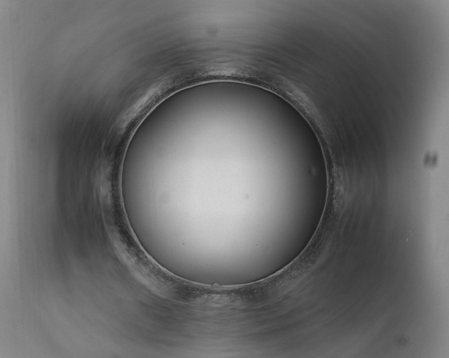 X0000111390482200907171250