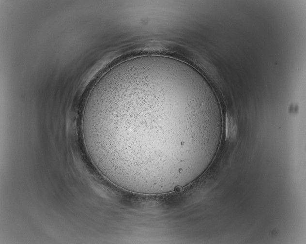 X0000111390483200907171250