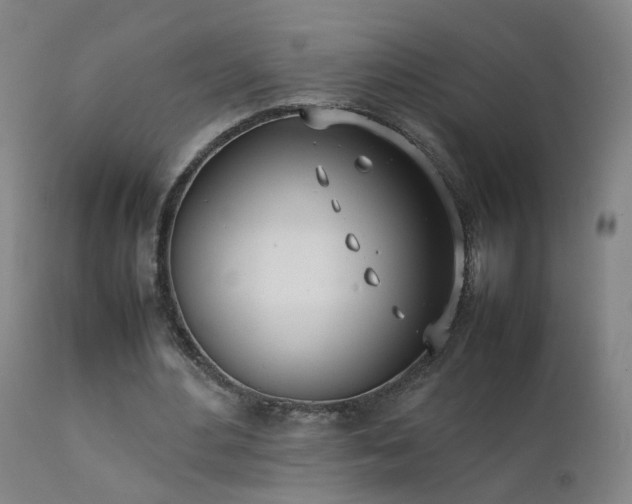 X0000111390484200907171250