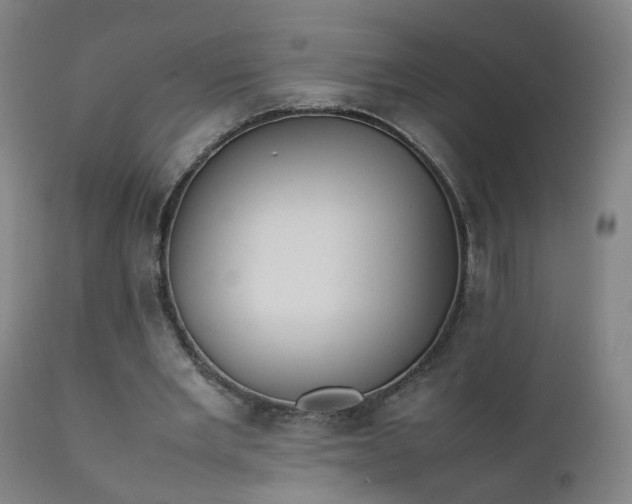 X0000111390485200907171250