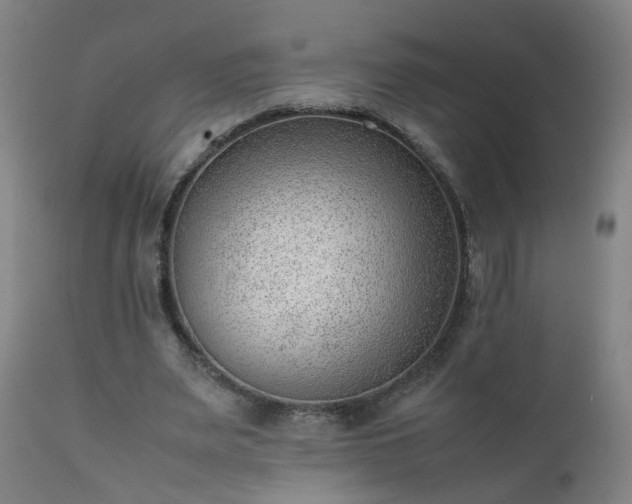 X0000111390487200907171250