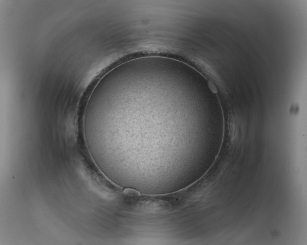 X0000111390488200907171250