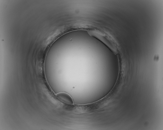 X0000111390489200907171250