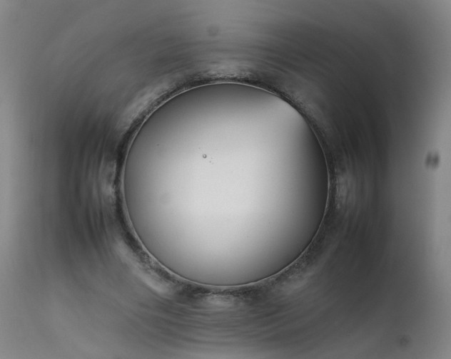 X0000111390490200907171250