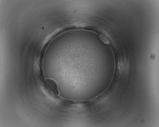 X0000111390492200907171249