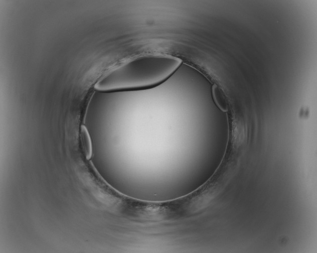 X0000111390493200907171249