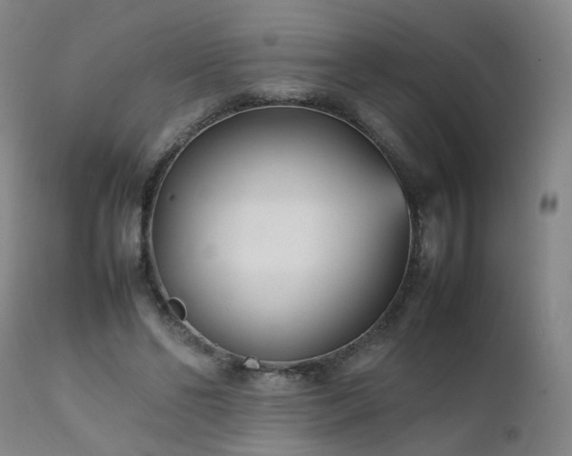 X0000111390494200907171249