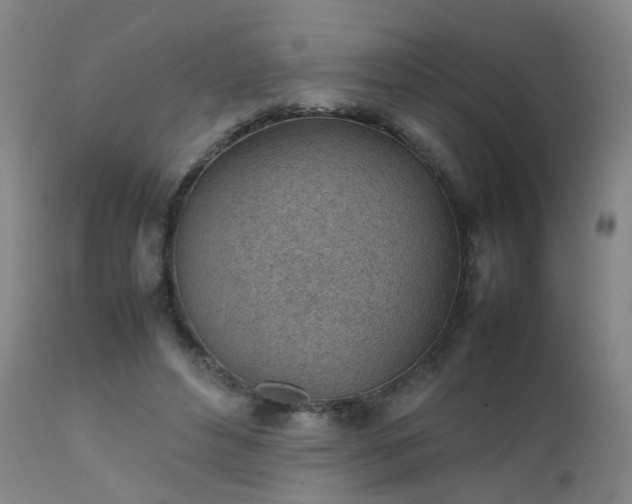 X0000111390496200907171249