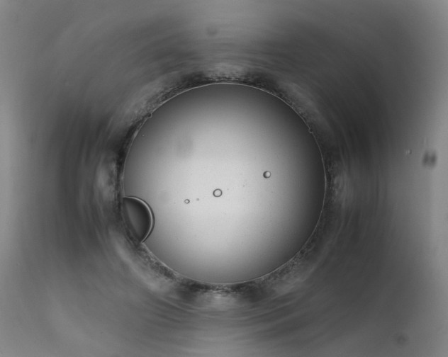 X0000111390498200907171249