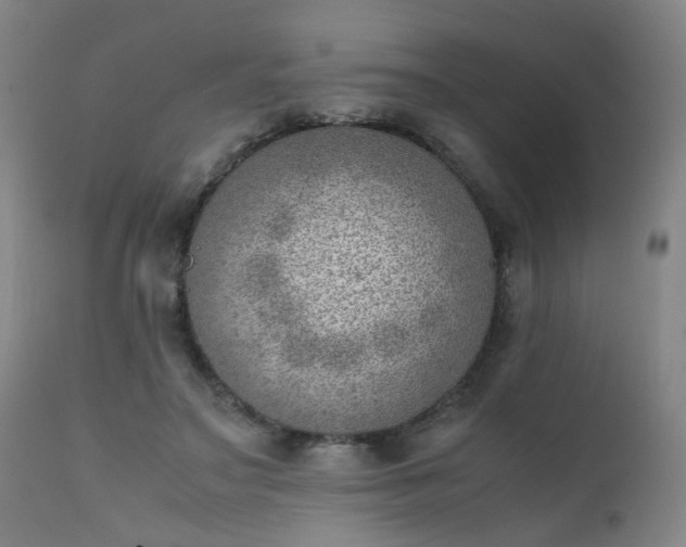 X0000111390499200907171249