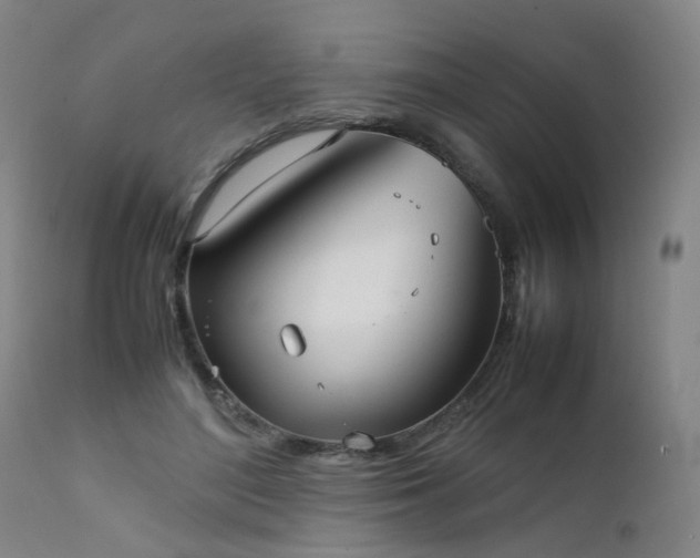 X0000111390500200907171249