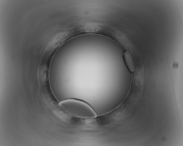 X0000111390501200907171249