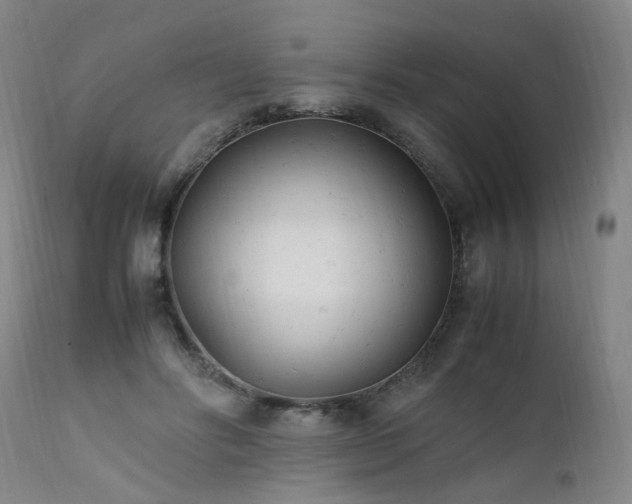 X0000111390502200907171249