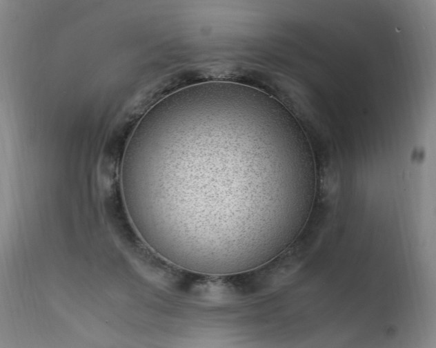 X0000111390503200907171249