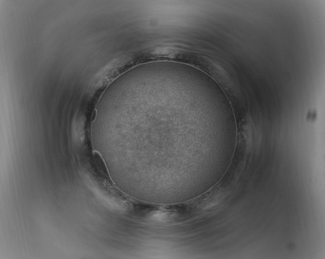 X0000111390504200907171249