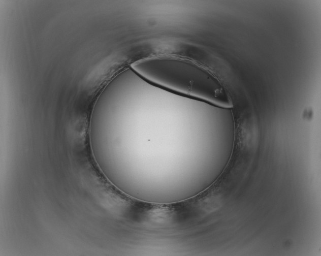 X0000111390505200907171249