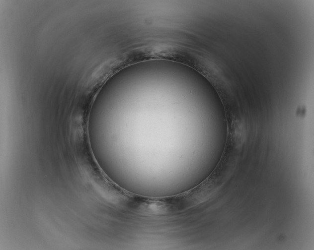 X0000111390506200907171249