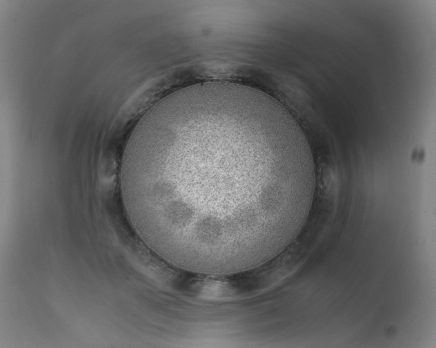 X0000111390507200907171249