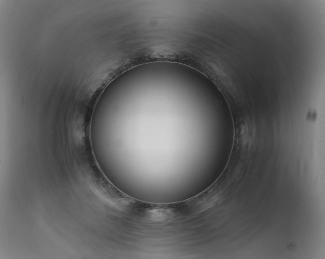 X0000111390508200907171249