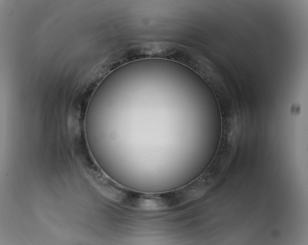 X0000111390510200907171249