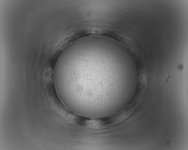 X0000111390511200907171249