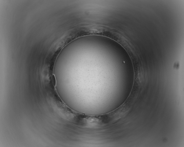 X0000111390512200907171249