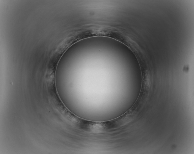 X0000111390513200907171249