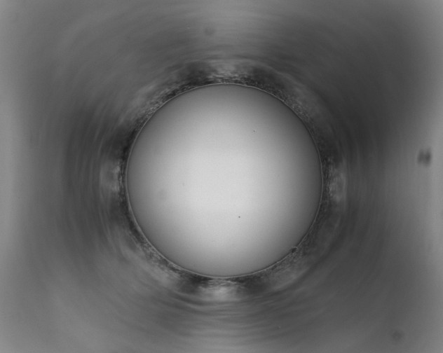 X0000111390514200907171249