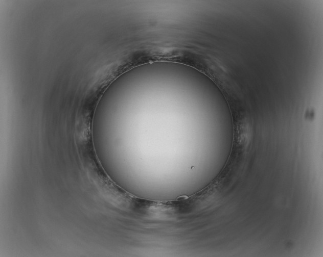 X0000111390515200907171249