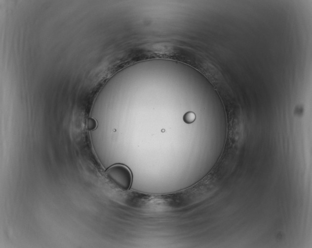 X0000111390518200907171249