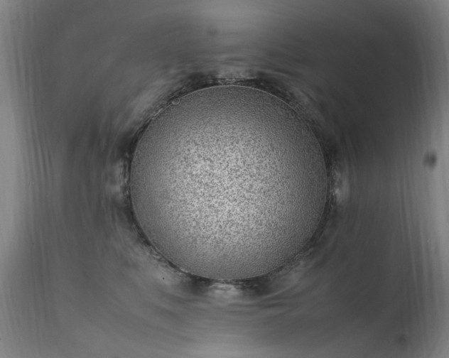 X0000111390519200907171249