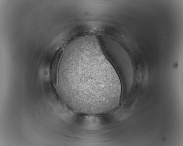 X0000111390520200907171249