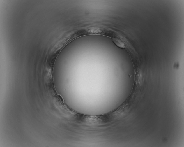 X0000111390521200907171249