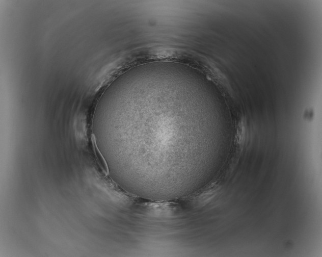 X0000111390524200907171249